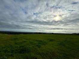 The view