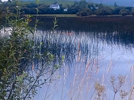 Lough allen