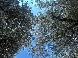 Sdraiarsi sotto al cielo col suono della natura