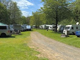 View of the site