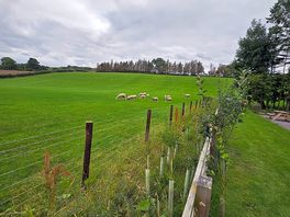 Fenced area