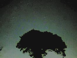 Beautiful sky at night