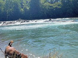 Fluss