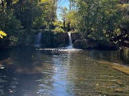 Wandeling