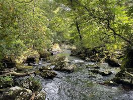Beautiful cold river
