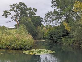 Pond