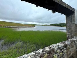 Alwen res