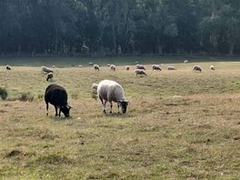 Lovely farm views