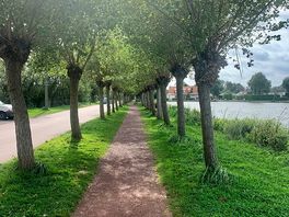 Scenic walk to the town via the lakes.