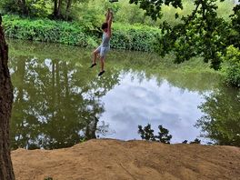 Lots rope swings