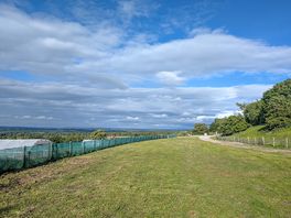 Camping pitches