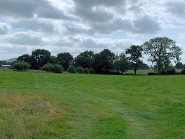 Camping field