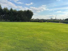Grass pitches