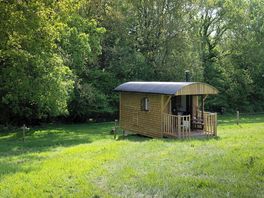 Shepherd's hut