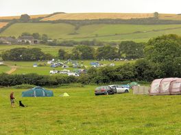 View across the dog-friendly pitches