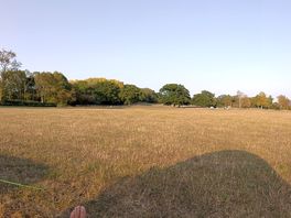 The scenery