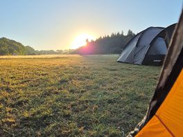 Morning view.