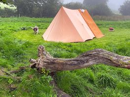 View of our pitch on a typical misty dartmoor day