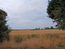 View from our tent