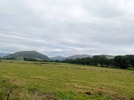 Views at the campsite