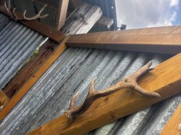 Upcycled shower
