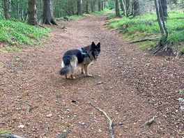 Walk from site