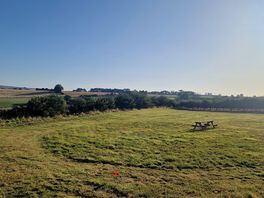 Morning view