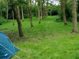 Surrounding