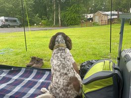 Quiet camping area