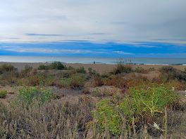 Blick zum meer