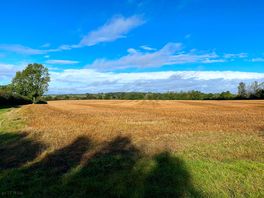 Lovely surroundings