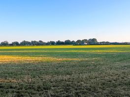 10-acre grounds