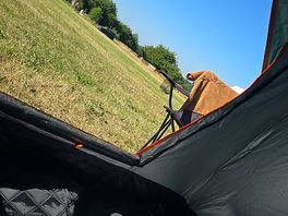 The views