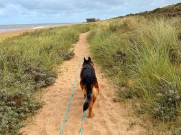 Coastal path