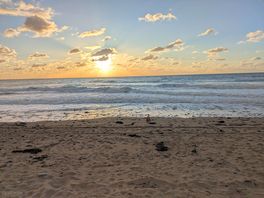 Sunset on beach