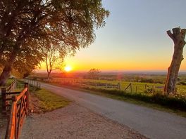 Sunset view