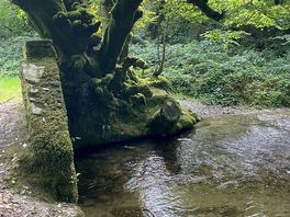 Lovely nature walks