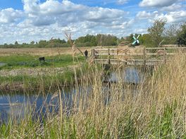 Wicken fen