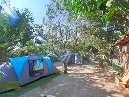 Rental tent