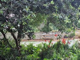 Lovely planting and some picnic tables available.