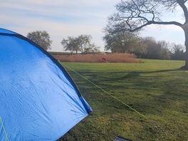 View from the tent