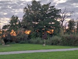 Evening sunset