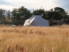 Space around Willow