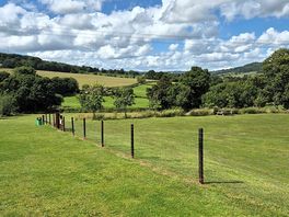 Dog walking field