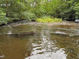 The river where you can wild swim