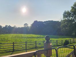The view from the balcony.