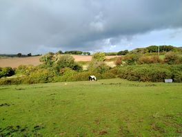 View from pitch