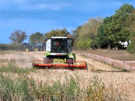 Harvest