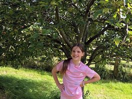 Beautiful apple trees