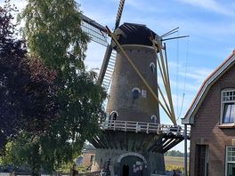 Local windmill